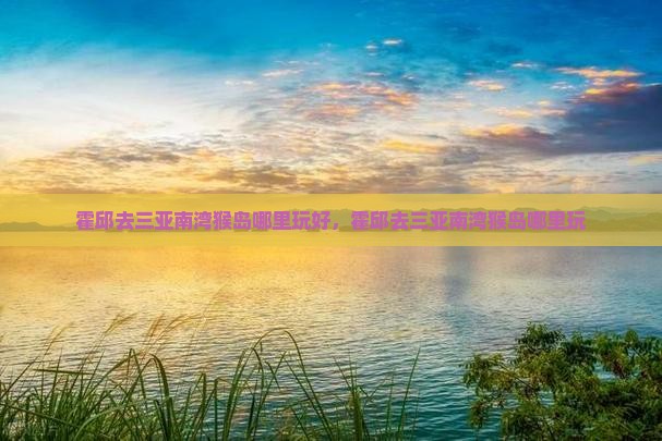 霍邱去三亚南湾猴岛哪里玩