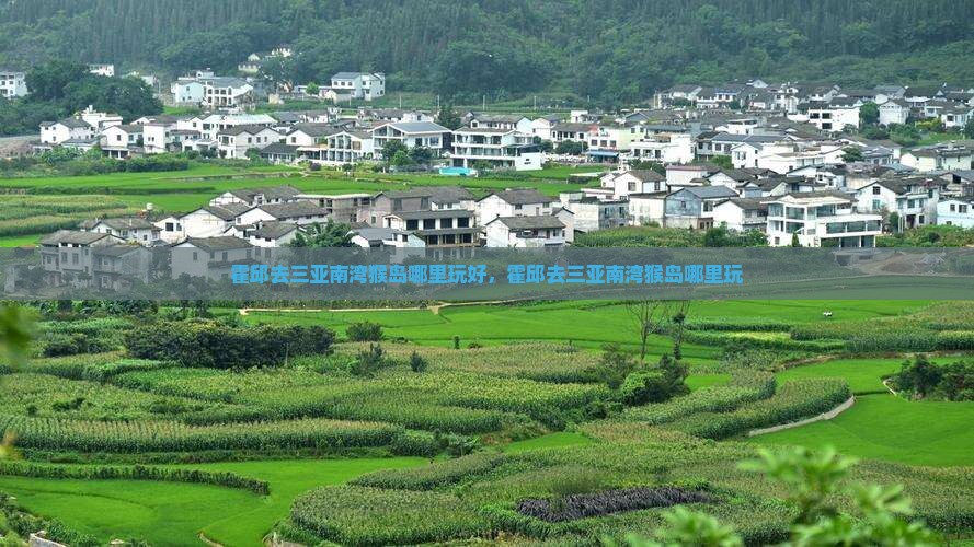 霍邱去三亚南湾猴岛哪里玩