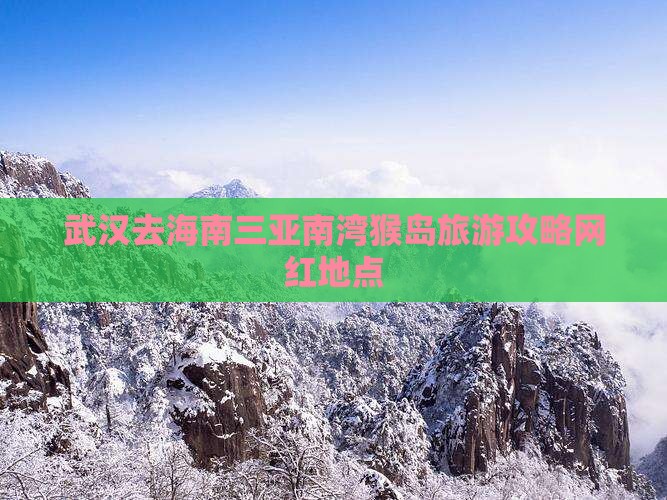 武汉去三亚南湾猴岛旅游网红地点