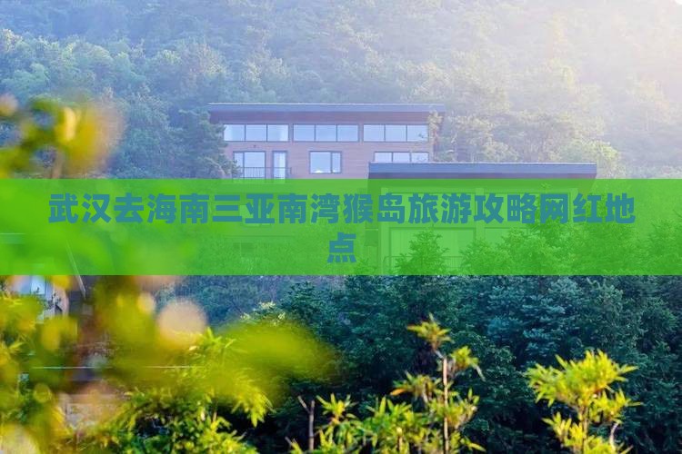 武汉去三亚南湾猴岛旅游网红地点