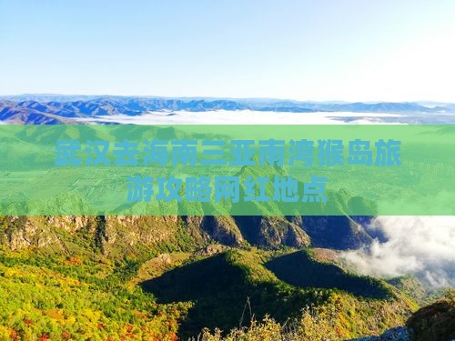 武汉去三亚南湾猴岛旅游网红地点