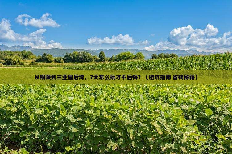 铜陵去三亚皇后湾七日游