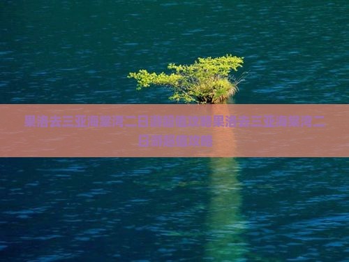 果洛去三亚海棠湾二日游