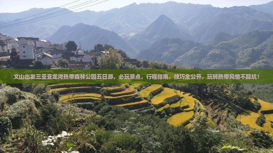 文山出发三亚亚龙湾热带森林公园五日游