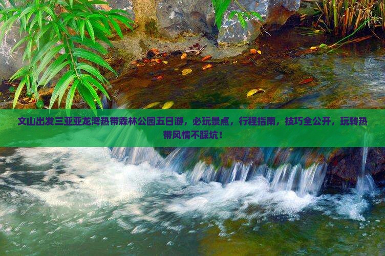 文山出发三亚亚龙湾热带森林公园五日游