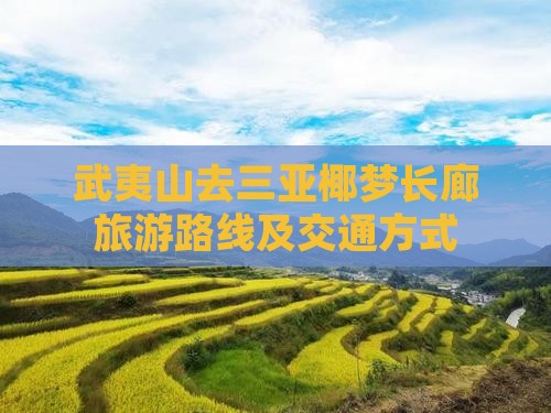 武夷山去三亚椰梦长廊旅游