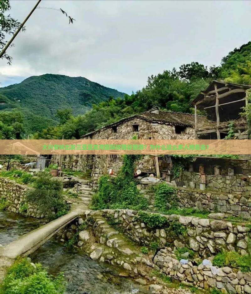 大兴安岭出发三亚亚龙湾国际玫瑰谷旅游