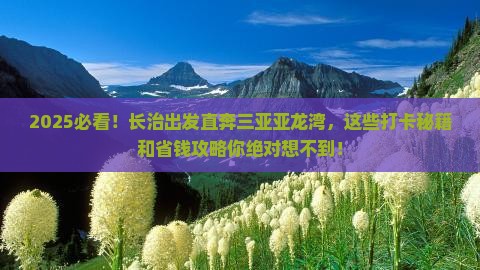 长治前往三亚亚龙湾旅游打卡点