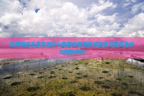 抚顺前往三亚凤凰岭公园团体旅游