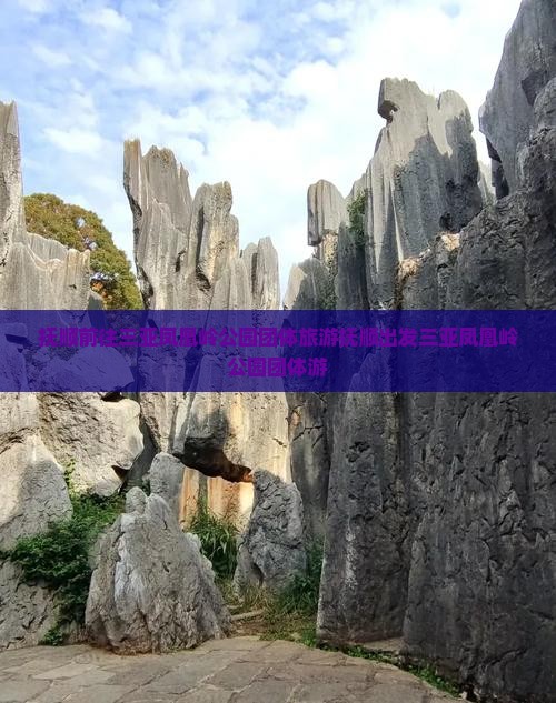 抚顺前往三亚凤凰岭公园团体旅游