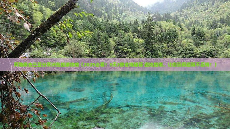 阿勒泰前往三亚分界洲岛旅游 阿勒泰前往三亚分界洲岛旅游
