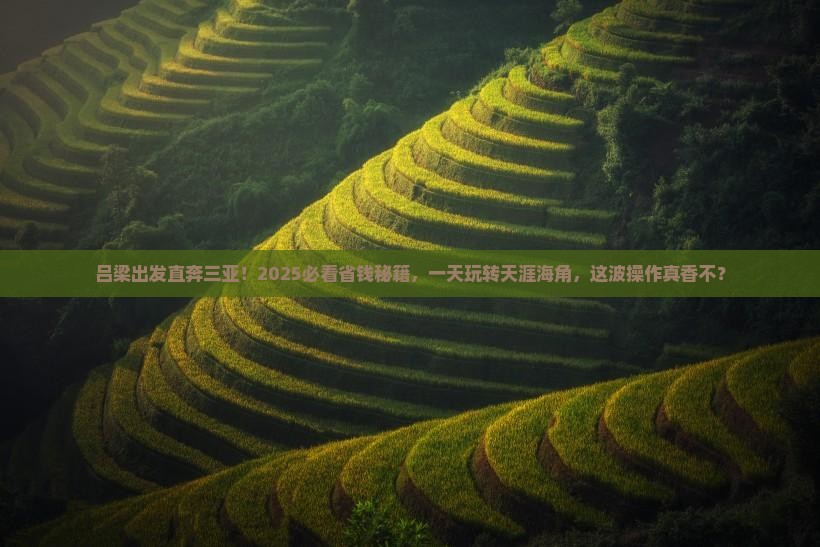 吕梁出发三亚天涯海角一日游