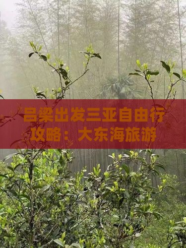 吕梁出发三亚大东海攻略