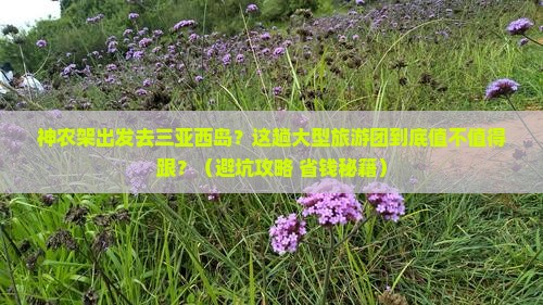 神农架出发三亚西岛大型旅游团