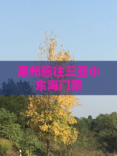 惠州前往三亚小东海门票