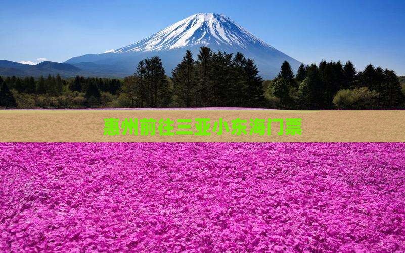 惠州前往三亚小东海门票