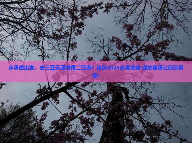 承德前往三亚天涯海角二日游