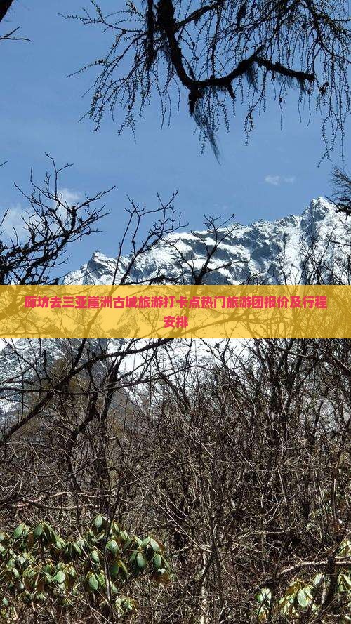 廊坊去三亚崖洲古城旅游打卡点热门旅游团报价及行程安排