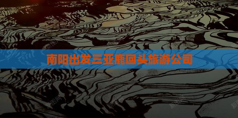 南阳出发三亚鹿回头旅游公司
