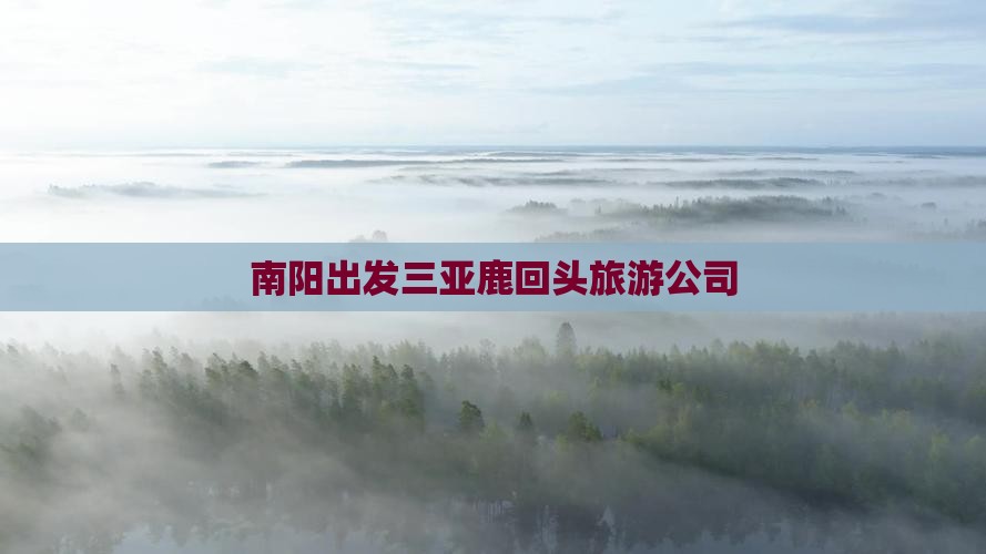 南阳出发三亚鹿回头旅游公司