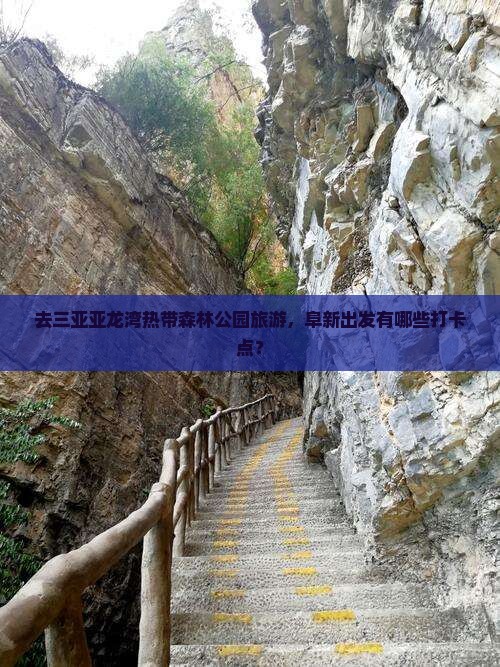 去三亚亚龙湾热带森林公园旅游，阜新出发有哪些打卡点？