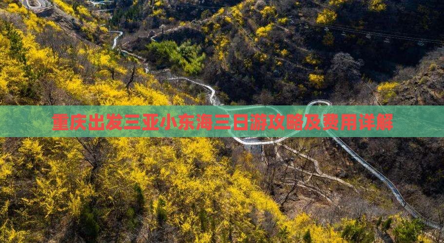 重庆出发三亚小东海三日游攻略及费用详解 重庆出发三亚小东海三日游攻略及费用详解