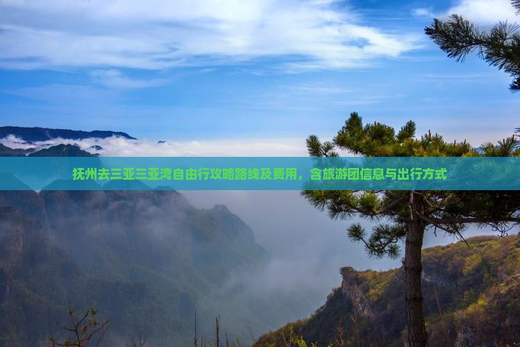 抚州去三亚三亚湾自由行攻略路线及费用,含旅游团信息与出行方式 抚州去三亚三亚湾自由行攻略路线及费用,含旅游团信息与出行方式