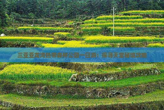 三亚亚龙湾热带森林公园一日游：探寻天堂秘境攻略