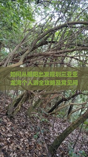 如何从揭阳出发规划三亚亚龙湾个人游全攻略及常见问题解答