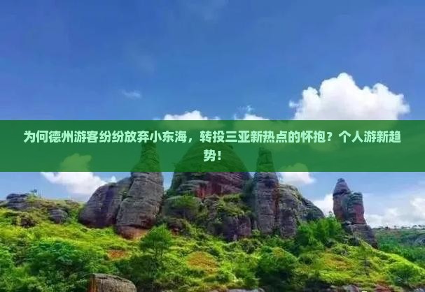 为何德州游客纷纷放弃小东海，转投三亚新热点的怀抱？个人游新趋势！