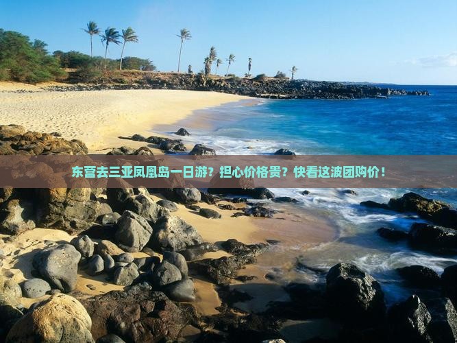 东营去三亚凤凰岛一日游？担心价格贵？快看这波团购价！