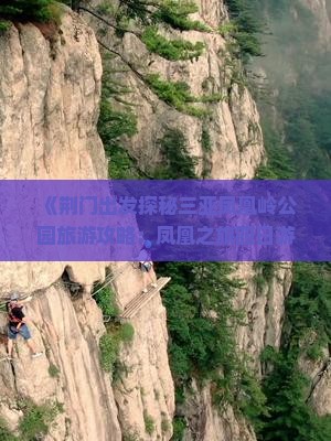 《荆门出发探秘三亚凤凰岭公园旅游攻略：凤凰之旅四日游指南》