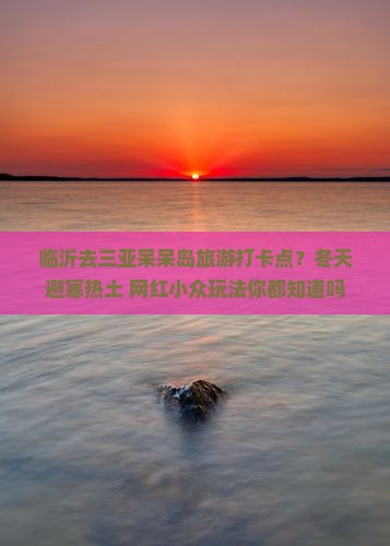 临沂去三亚呆呆岛旅游打卡点？冬天避寒热土+网红小众玩法你都知道吗