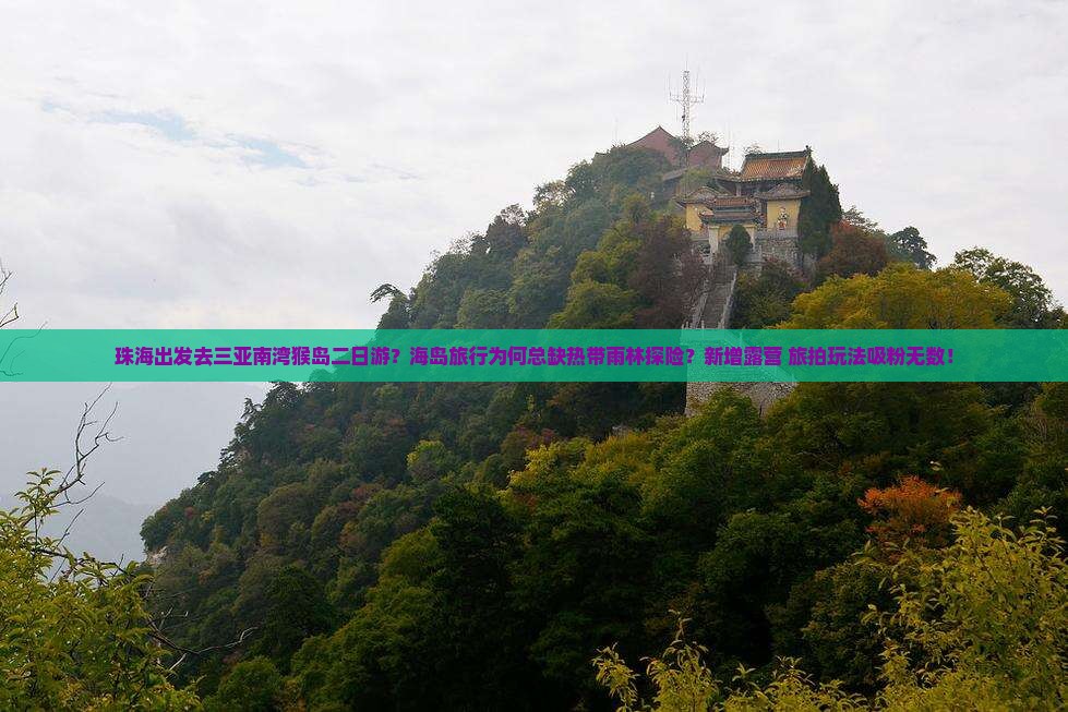 珠海出发去三亚南湾猴岛二日游？海岛旅行为何总缺热带雨林探险？新增露营+旅拍玩法吸粉无数！