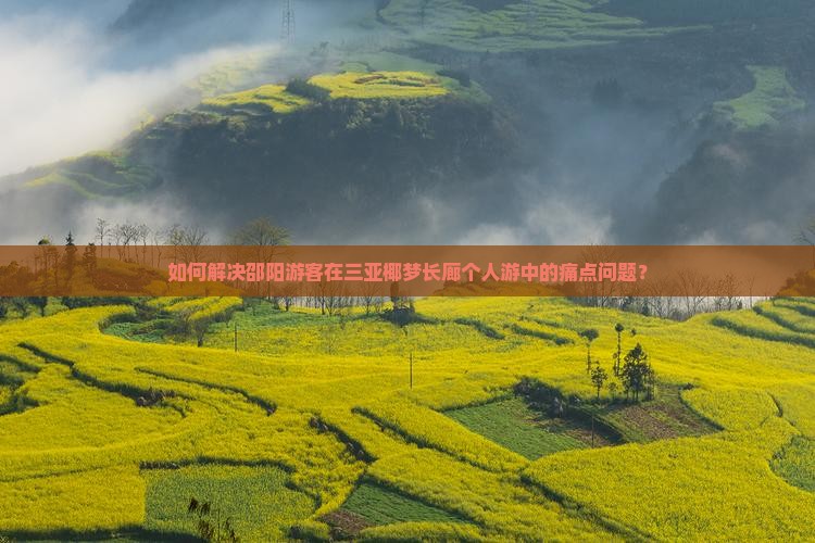 如何解决邵阳游客在三亚椰梦长廊个人游中的痛点问题？