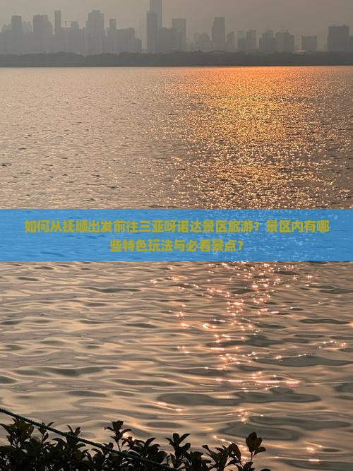 如何从抚顺出发前往三亚呀诺达景区旅游？景区内有哪些特色玩法与必看景点？
