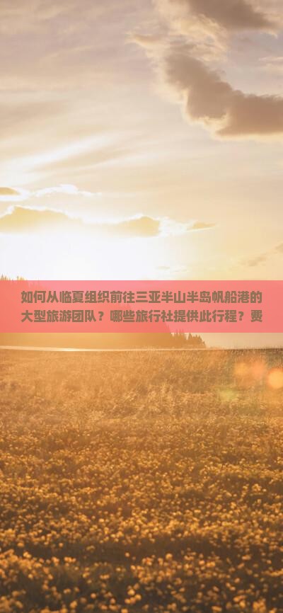 如何从临夏组织前往三亚半山半岛帆船港的大型旅游团队？哪些旅行社提供此行程？费用和时间安排如何？