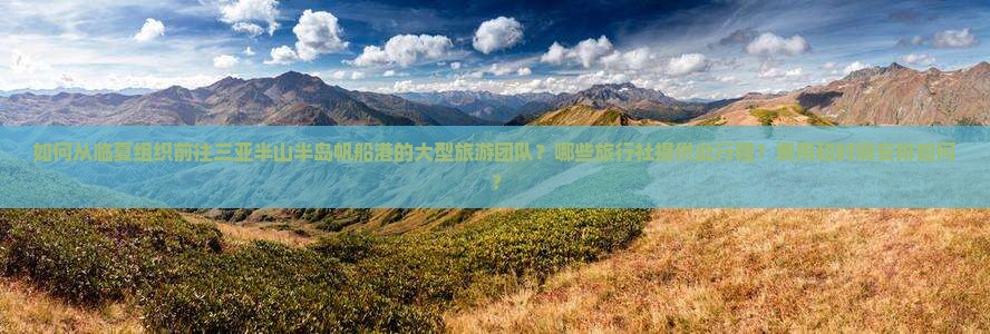 如何从临夏组织前往三亚半山半岛帆船港的大型旅游团队？哪些旅行社提供此行程？费用和时间安排如何？