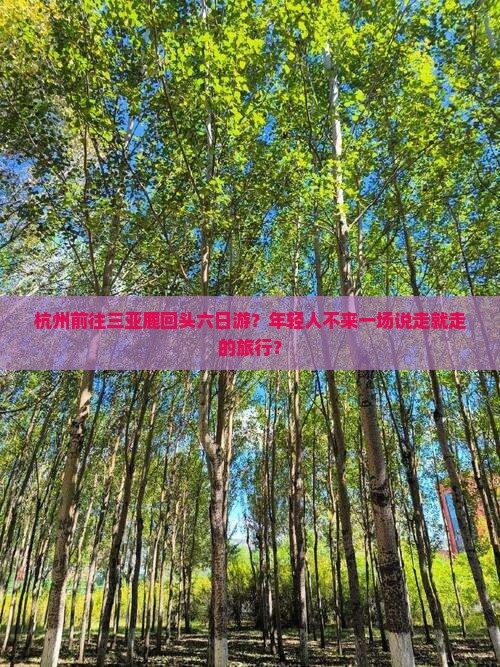杭州前往三亚鹿回头六日游？年轻人不来一场说走就走的旅行？