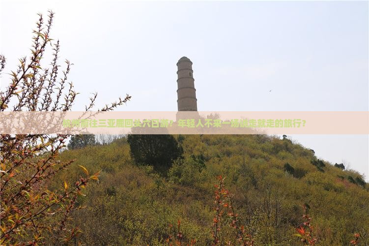 杭州前往三亚鹿回头六日游？年轻人不来一场说走就走的旅行？