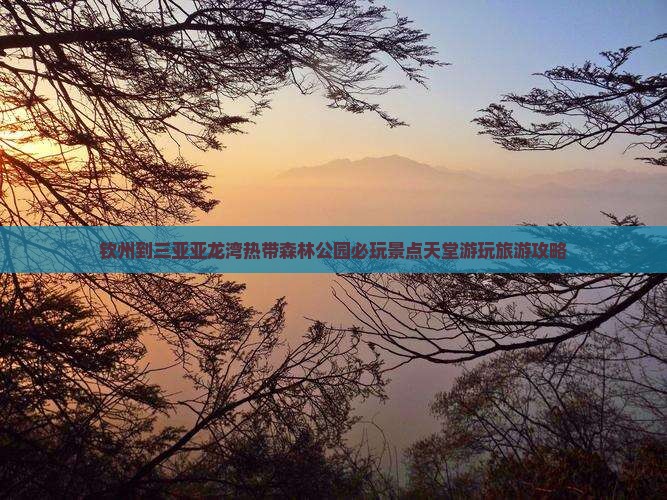 钦州到三亚亚龙湾热带森林公园必玩景点天堂游玩旅游攻略