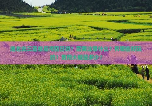 淮北去三亚皇后湾四日游？需要注意什么？有哪些好玩的？费用大概是多少？