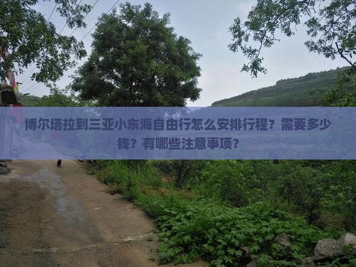 博尔塔拉到三亚小东海自由行怎么安排行程？需要多少钱？有哪些注意事项？