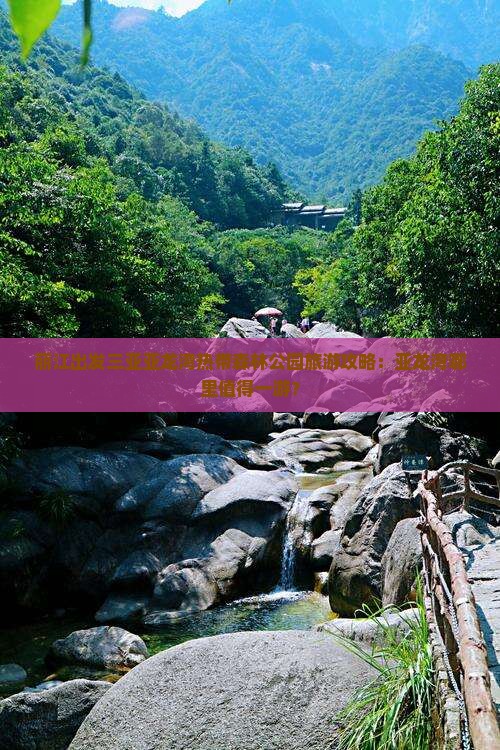 丽江出发三亚亚龙湾热带森林公园旅游攻略：亚龙湾哪里值得一游？