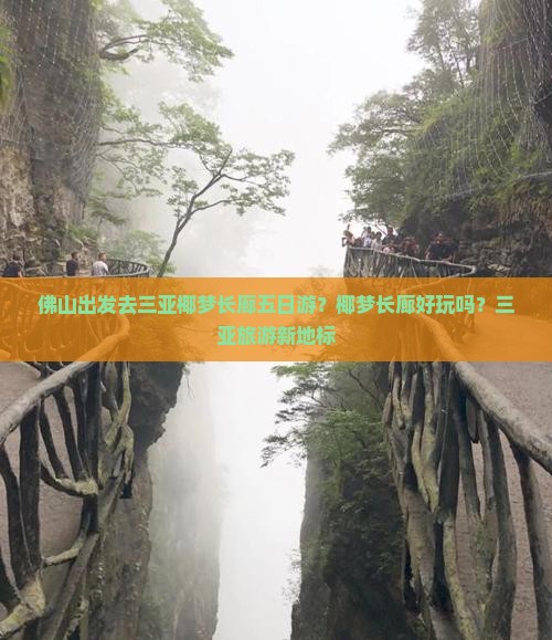 佛山出发去三亚椰梦长廊五日游？椰梦长廊好玩吗？三亚旅游新地标