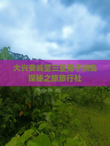 大兴安岭至三亚椰子洲岛探秘之旅旅行社