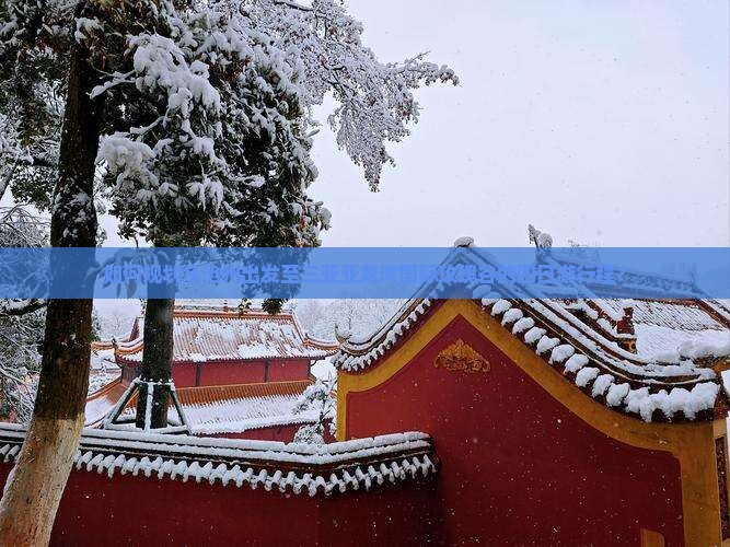 如何规划从沧州出发至三亚亚龙湾国际玫瑰谷的四日游行程？