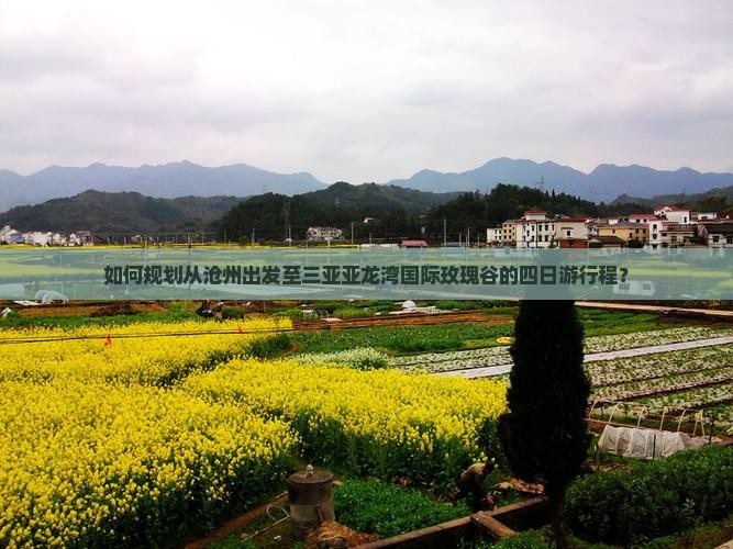如何规划从沧州出发至三亚亚龙湾国际玫瑰谷的四日游行程？