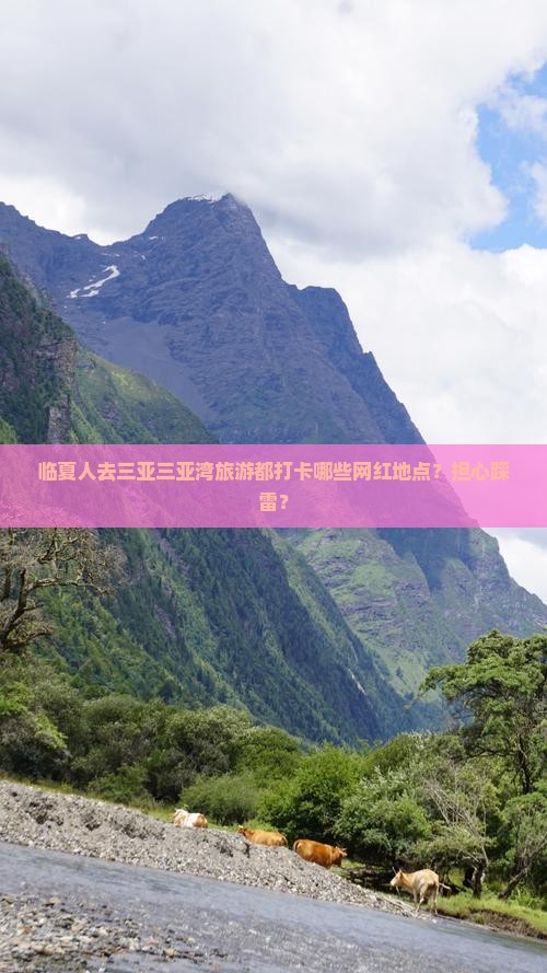 临夏人去三亚三亚湾旅游都打卡哪些网红地点？担心踩雷？