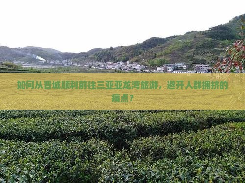 如何从晋城顺利前往三亚亚龙湾旅游，避开人群拥挤的痛点？